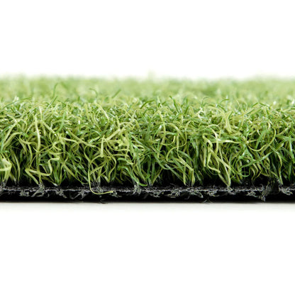 Geavanceerd Puttinggras